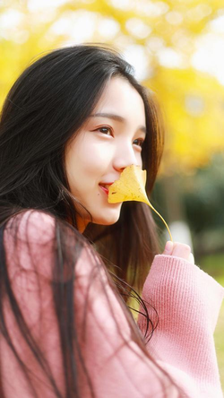 老熟妇女视频分类导航